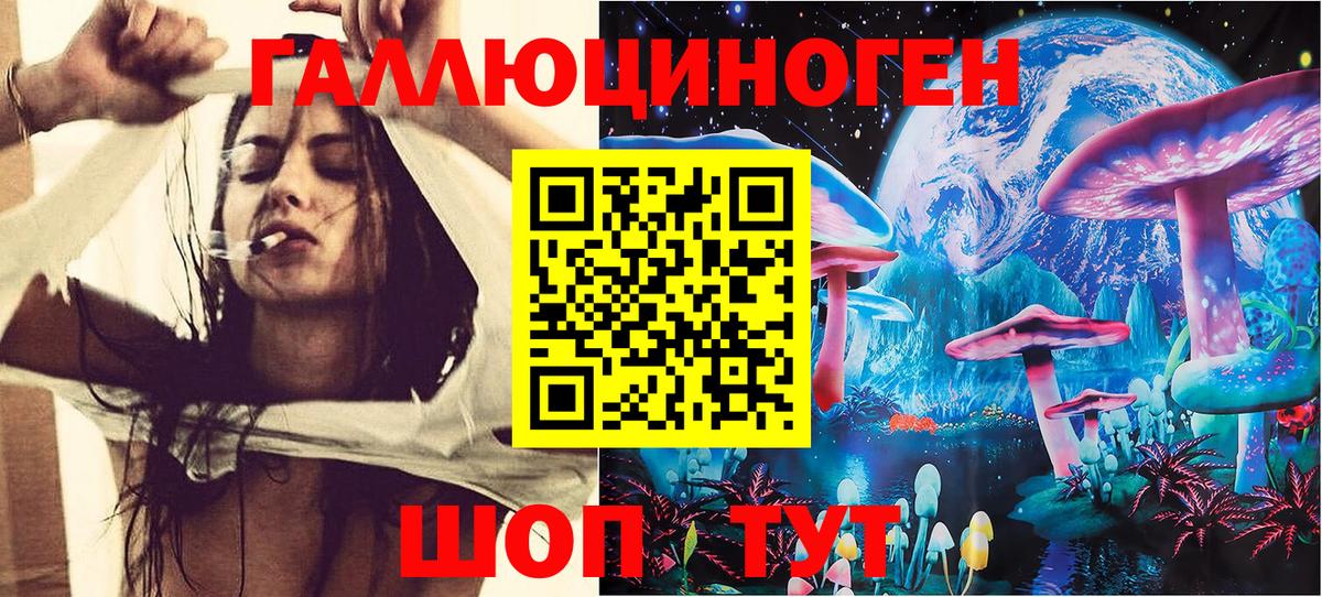 Псилоцибиновые грибы Psilocybine cubensis Белгород